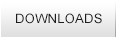 Downloads Button